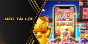 mèo tài lộc